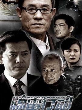 惊雷行动全集在线观看,全剧情揭秘，在线观看不容错过